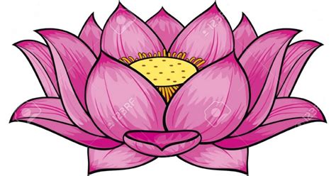 Lotus Flower Drawing Color | Amazing Wallpapers