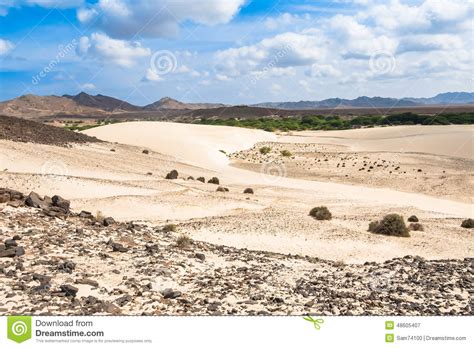 Sand Dunes In Viana Desert Deserto De Viana In Boavista Cape Stock