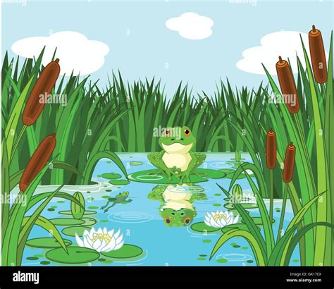 Lac De Roseau Banque Dimages Vectorielles Alamy