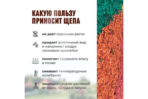 Декоративная щепа Сила Суздаля зеленая, 30 л 4680004063278 - выгодная ...