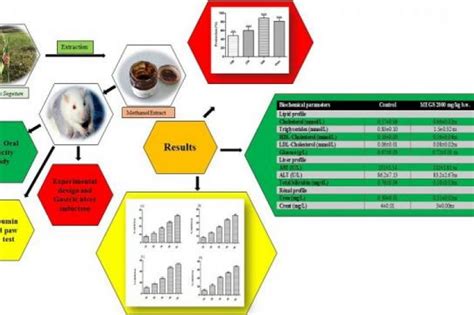 Acute Toxicity, Anti-ulcer and Anti-inflammatory Effects of Methanol ... 