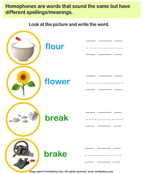 Spelling Of Words That Sound The Same Turtle Diary Worksheet