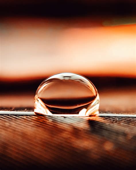 A Water Droplet On Leaf PixaHive