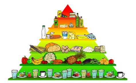 Lebensmittelpyramide Gesundheitserziehung