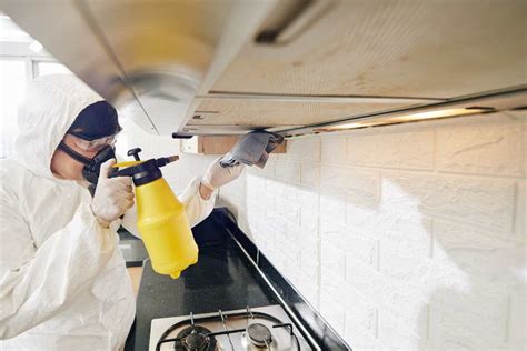 Why Should You Sanitise And Disinfect Your Commercial Kitchen