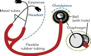 Stethoscope Bell vs Diaphragm - My Safety Tools