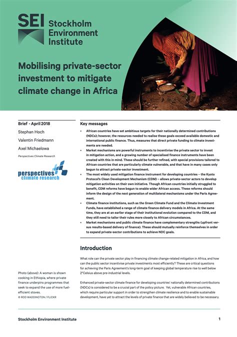 Mobilising Private Sector Investment To Mitigate Climate Change In