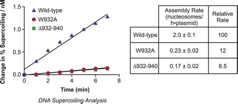 Atp Dependent Chromatin Assembly Is Functionally Distinct From