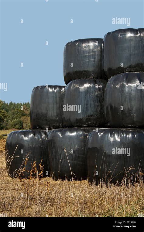 Plastic Hay Rolls Hi Res Stock Photography And Images Alamy