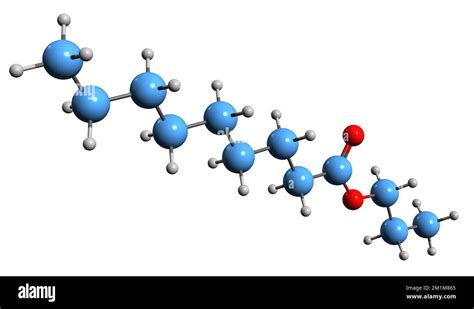 3d Image Of Propyl Nonanoate Skeletal Formula Molecular Chemical Structure Of Propyl