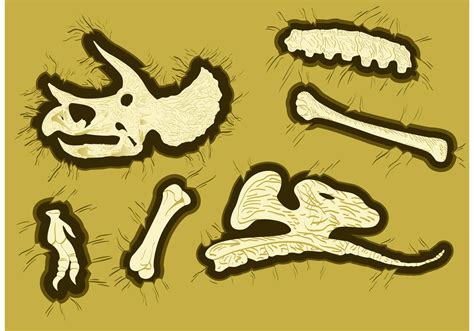 Dinosaur Bones Vectors Download Free Vector Art Stock Graphics And Images