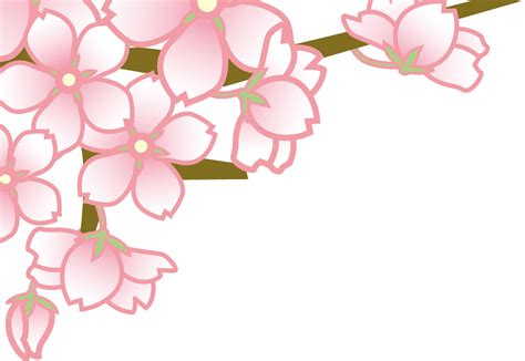 さくら 桜 のイラスト画像No 013サクラの花枝無料のフリー素材集百花繚乱