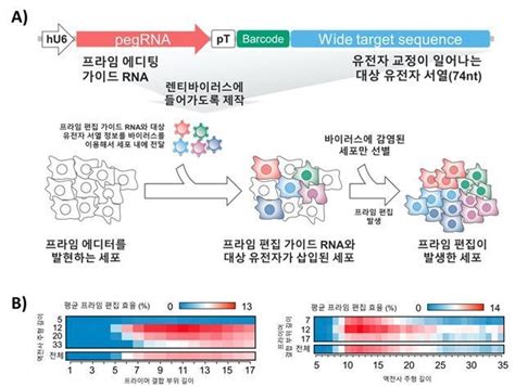 Ai로 차세대 유전자가위도 설계한다