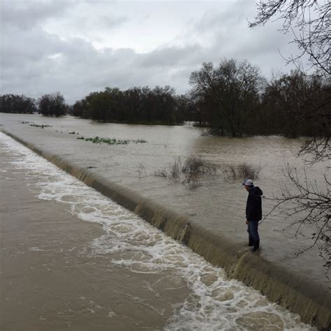 Fremont Weir Overflows Again Prepare For Salmon And Sturgeon Rescues