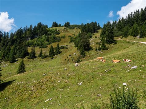 Alm On Vorderer Rauschberg Chiemgau Alexander Stielau Flickr