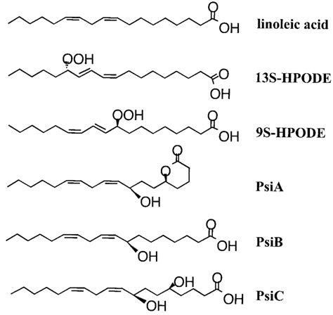 Structures of linoleic acid and linoleic acid-derived molecules from