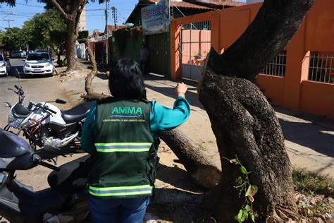 Fiscalização Ambiental autua proprietário de imóvel por retirada