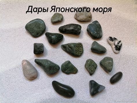 Морские камни купить в интернет-магазине Ярмарка Мастеров по цене 70 ...