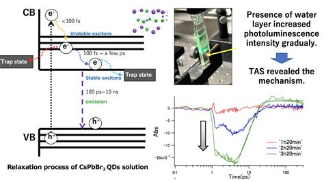 Nanoge Onlinehopv20 Charge Carrier Dynamics Of Cspbbr3 Perovskite