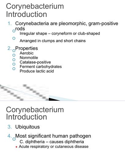 Class Ch Corynebacterium Listeria Erysipelothrix