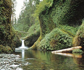 Mount Hood National Forest | Hiking, Camping, Wildlife | Britannica