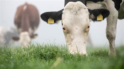 Kabinet Wil Voor Zomer Bijna 3 Miljard Euro Vrijmaken Voor Aanpak