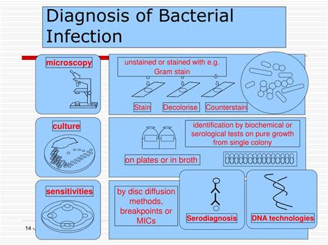 Ppt Introduction To Diagnostic Microbiology Powerpoint Presentation