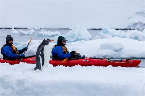 How cold is Antarctica? Weather in Antarctica: Temperature and Climate ...