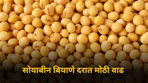 Soybean Seed सोयाबीन बियाणे दरात कंपन्यांकडून मोठी वाढ Companies Have Increased The Price Of