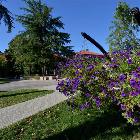 Villa Serena Casa Di Riposo Torino Percorso Benessere