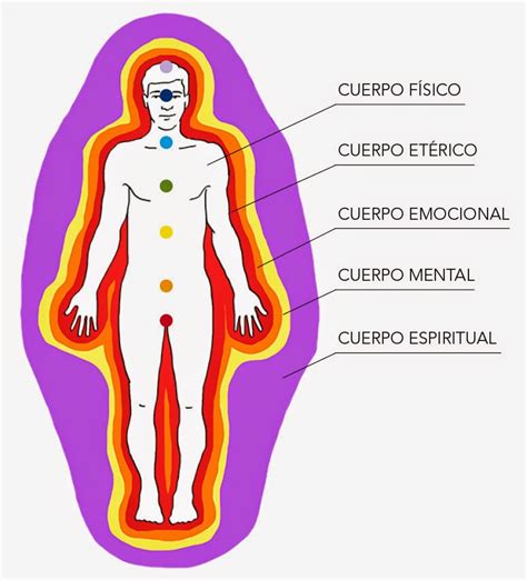 El Verdadero Origen De Las Enfermedades Conociendo Los Cuerpos Sutiles