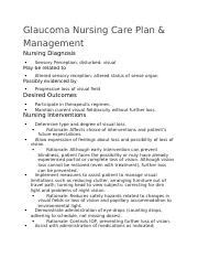 Glaucoma Nursing Care Plan Docx Glaucoma Nursing Care Plan