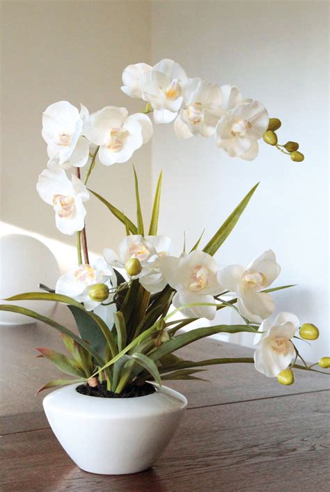 Künstliche Orchidee Phalaenopsis mit Sukkulenten getopft 55 cm creme