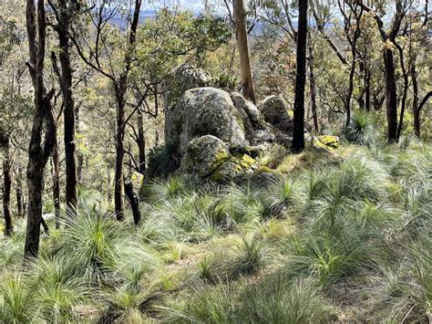 Wingfield Farm Hipcamp In Tenterfield New South Wales