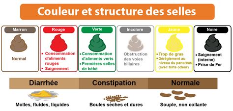 Couleur Et Structure Des Selles Creapharma