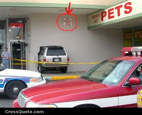 Funny Crazy Car Accident Pictures