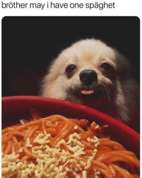 28 Hilariously Unhinged Memes Guaranteed to Distract You from Work