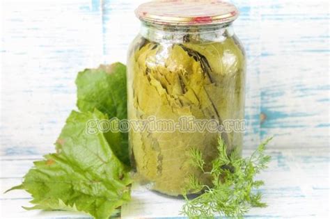 Маринованные виноградные листья — Готовим дома