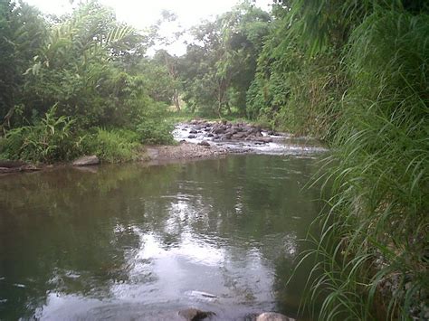 THE BEAUTIFUL OF NUSANTARA-INDONESIA: Sungai Musi Sumatera selatan