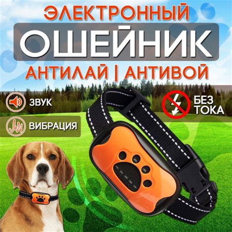 Ошейник антилай для собак купить на OZON по низкой цене (1735121116)
