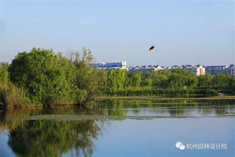 山东安丘汶河湿地公园景观生态修复与提升设计 杭州园林设计院 景观网