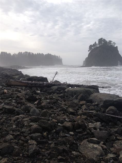 Rialto beach, Washington | Rialto beach, Beach, Rialto