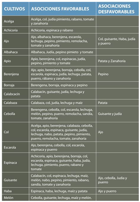 El Taller Diario De Un Viejo Fot Grafo De Arquitectura Diario De Un