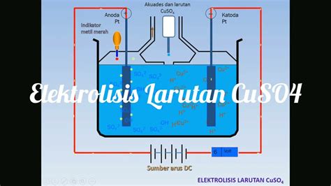 Animasi Proses Elektrolisis Larutan Hcl Dan Larutan Cuso4 Youtube