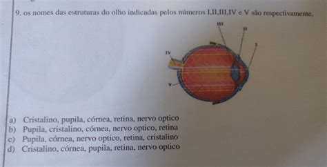 Mim Ajudem Pfvr Pra Hoje Brainly Br