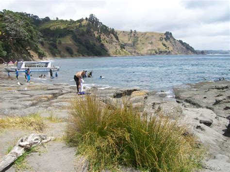 Visiting Goat Island Marine Reserve, New Zealand - Anita Hendrieka