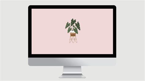 Boho Minimalist Plant Desktop Wallpaper For Mac MacBook Wallpaper