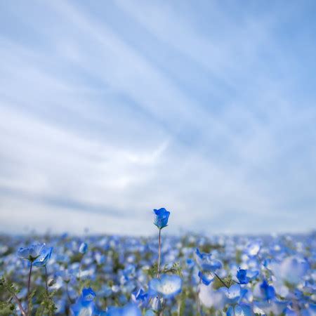 Chillingout Profile Free Adult Sex Tube Porno Tokyo Motion