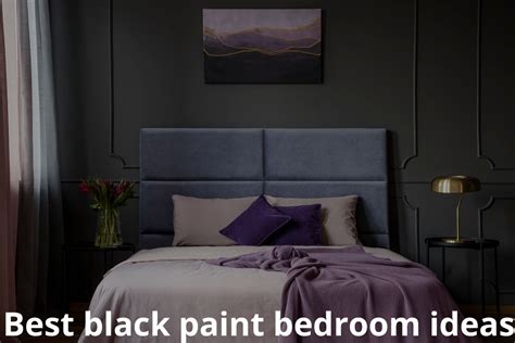 Best Black Paint Bedroom Ideas