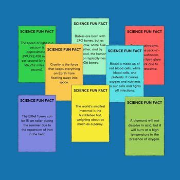 explore  wonders  science   fun facts flashcards